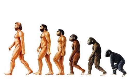 caracteristicas de la teoria de la evolucion
