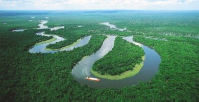 caracteristicas de la cuenca amazonica